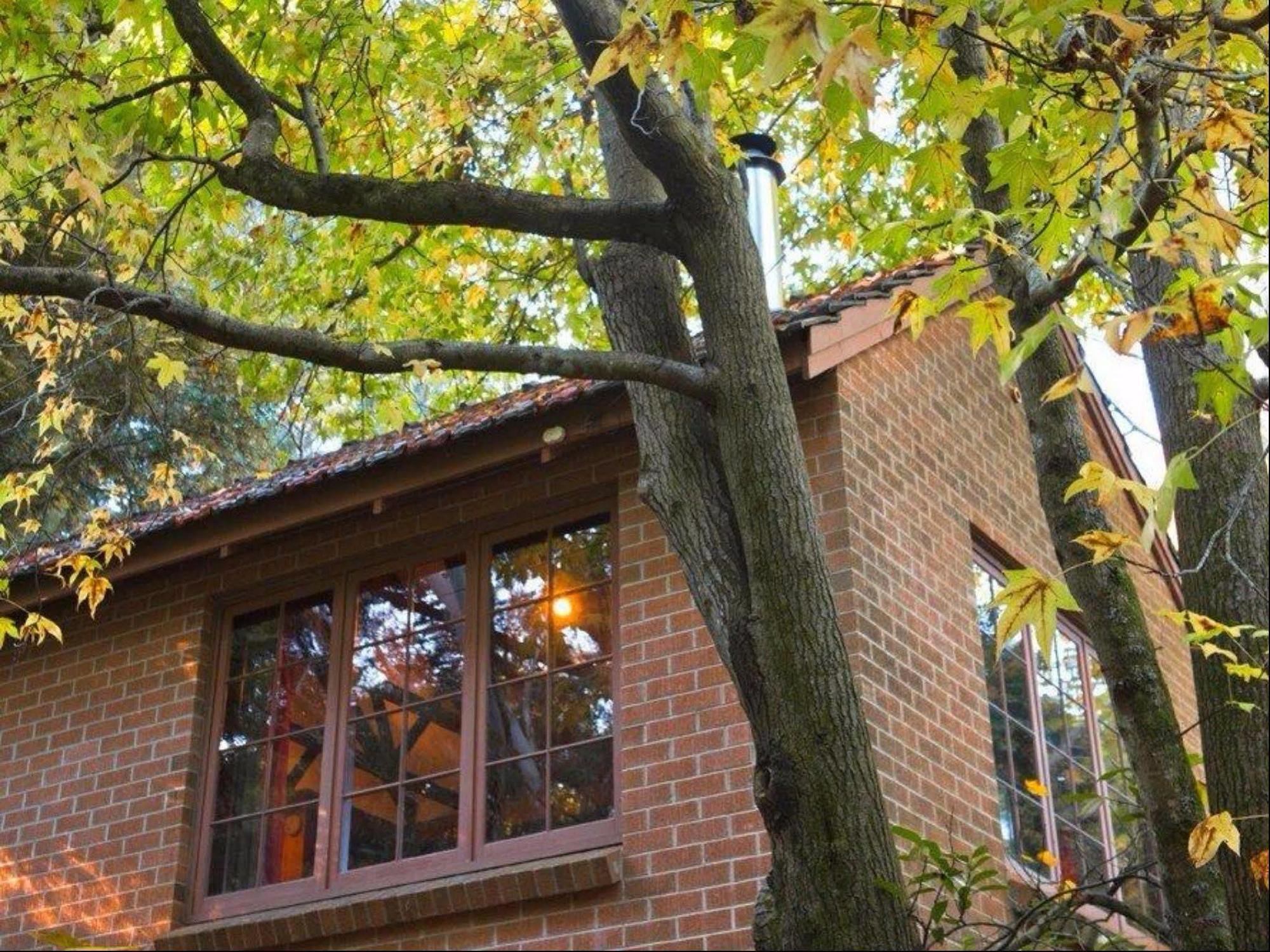 Crafers Cottages Adelaida Exterior foto